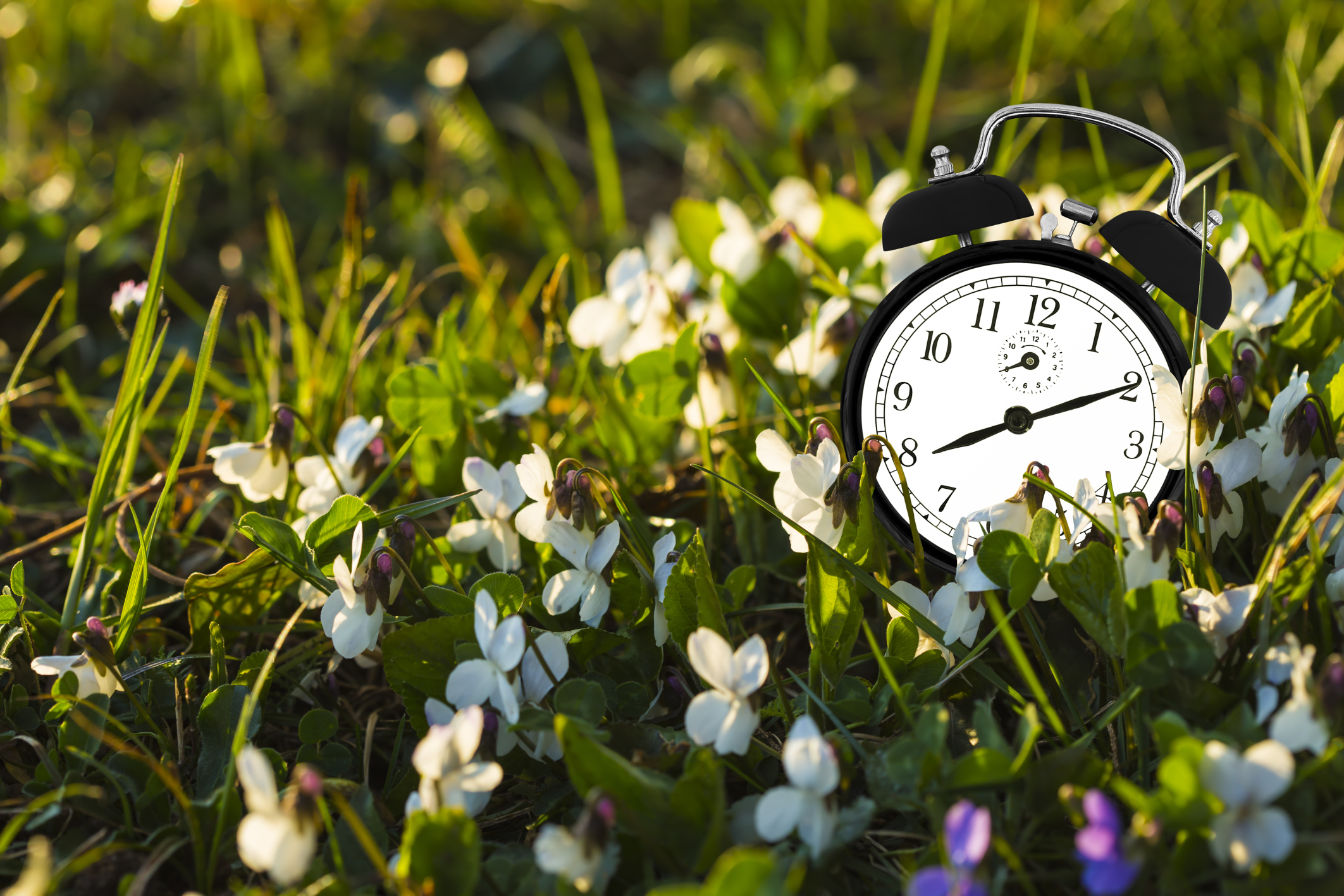 Фото через час. Весенние часики. Часы "цветок". Весенний будильник.