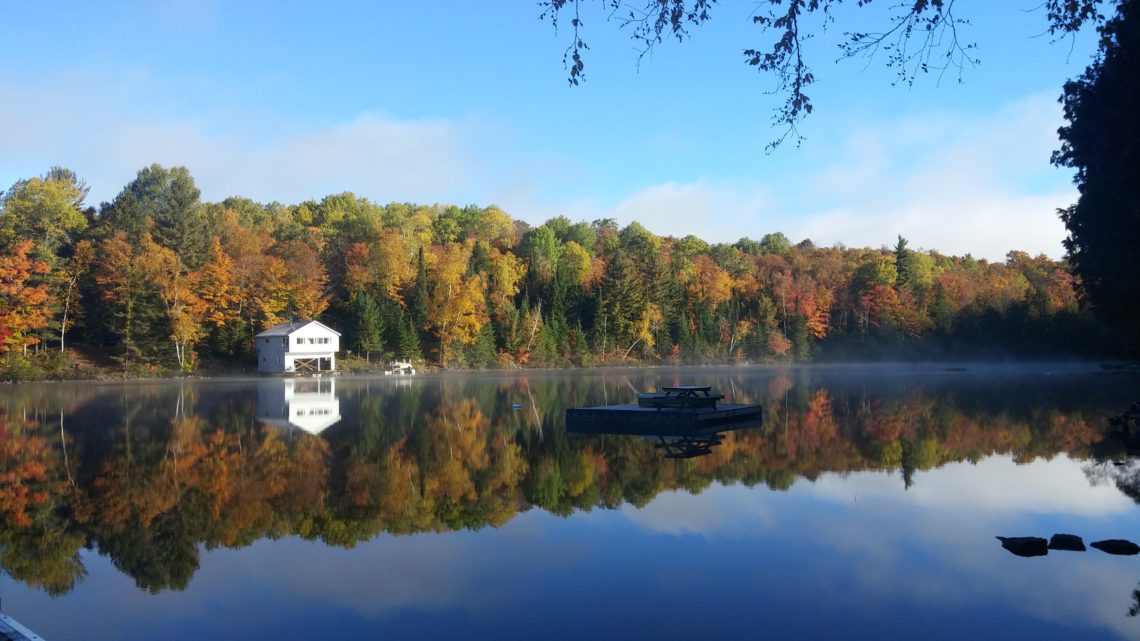 a view of the lake in fall with colourful trees