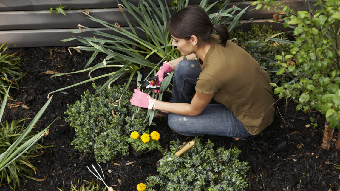 Let it Rain! Landscaping Tips to Help Prevent Flooding