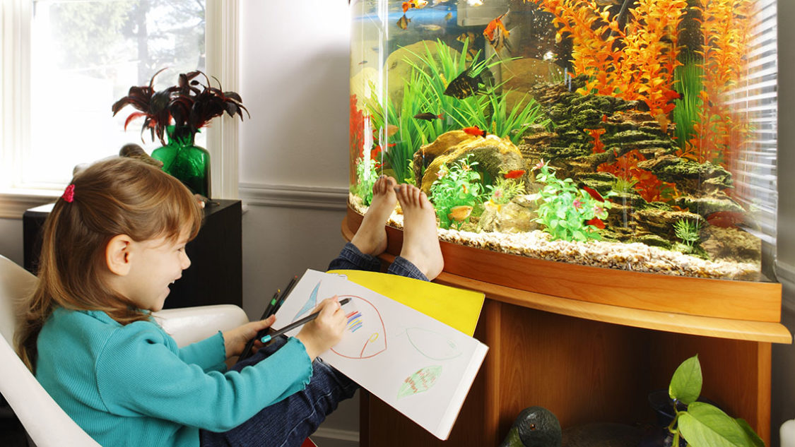 Une petite fille dessine un poisson devant un aquarium à la maison.