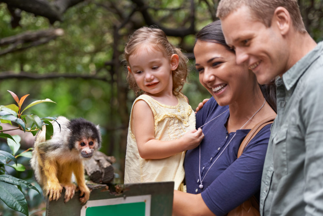 Une famille heureuse passe la journée dans un sanctuaire de singes