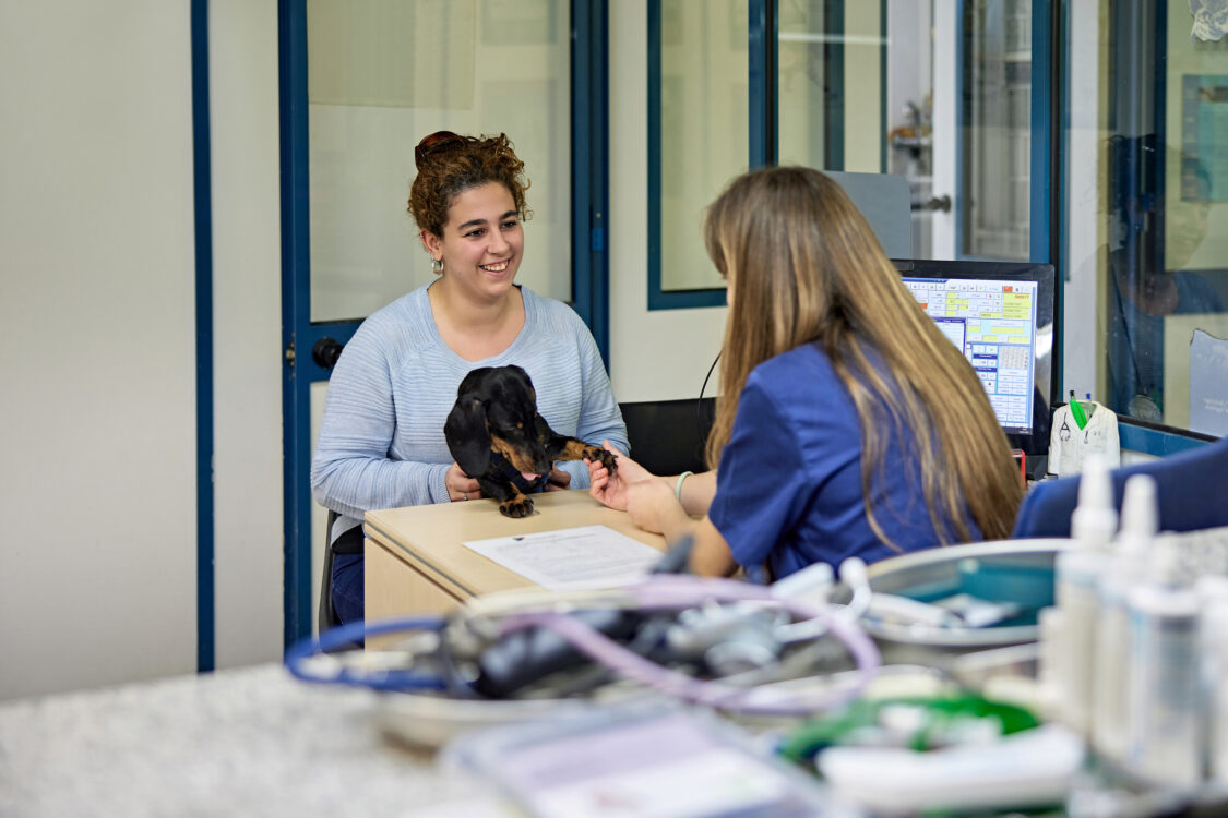 Propriétaire d'animal et chien parlant avec un technicien vétérinaire