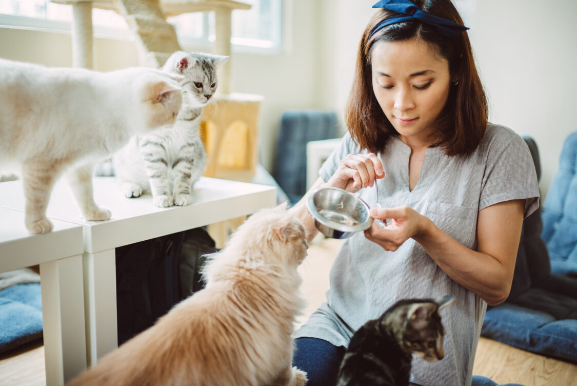 A woman feeding cats at home
