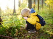 Child using magnifying glass to observe plants