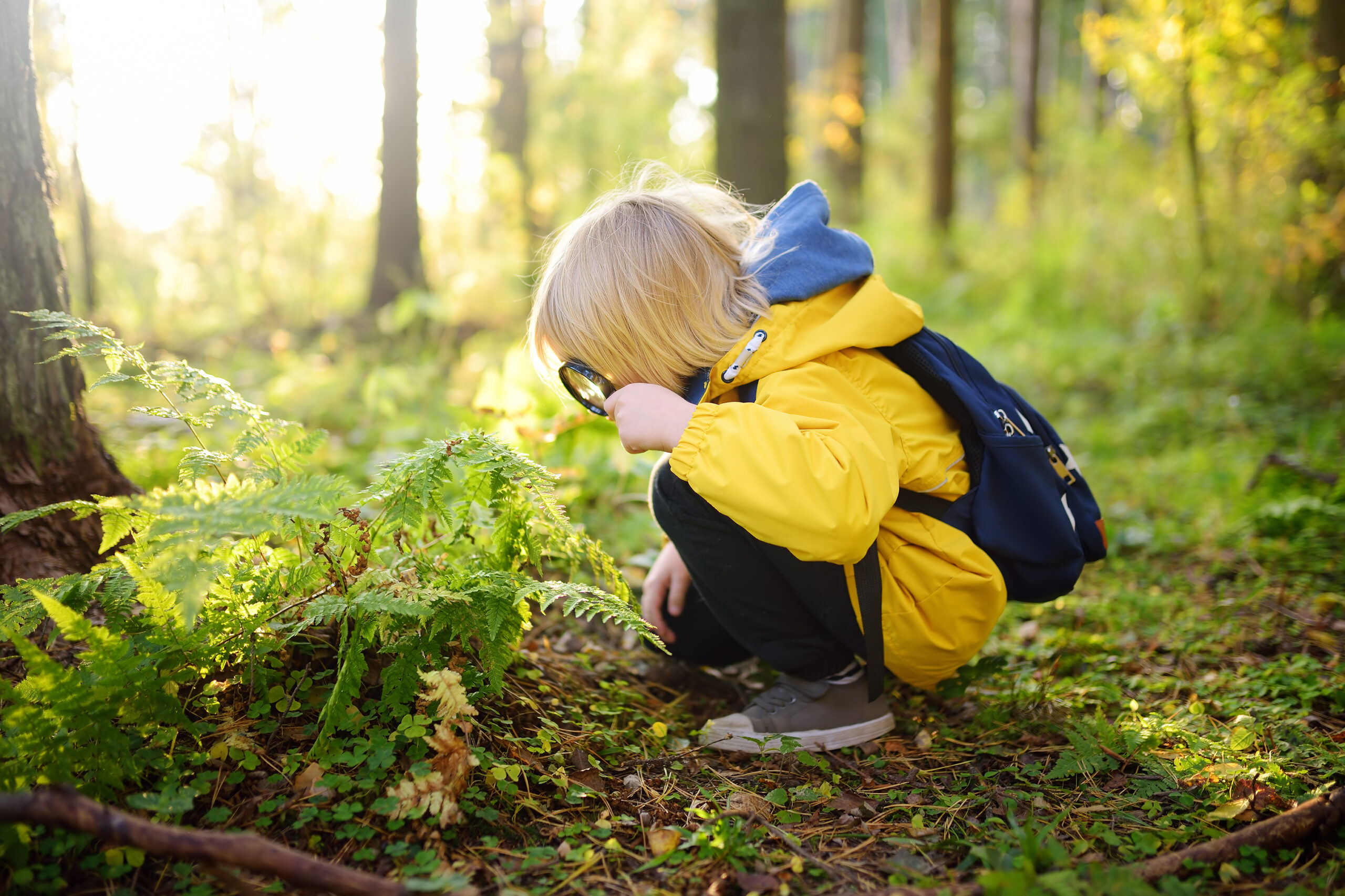 beasts-amid-the-beauty-poisonous-plants-in-canada-and-how-to-avoid