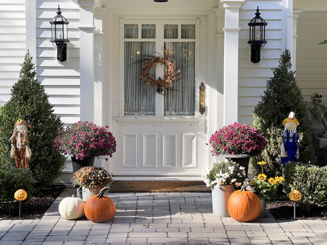 Des citrouilles, des courges et des mamans colorées créent un décor paysager de luxe pour Halloween et Thanksgiving.